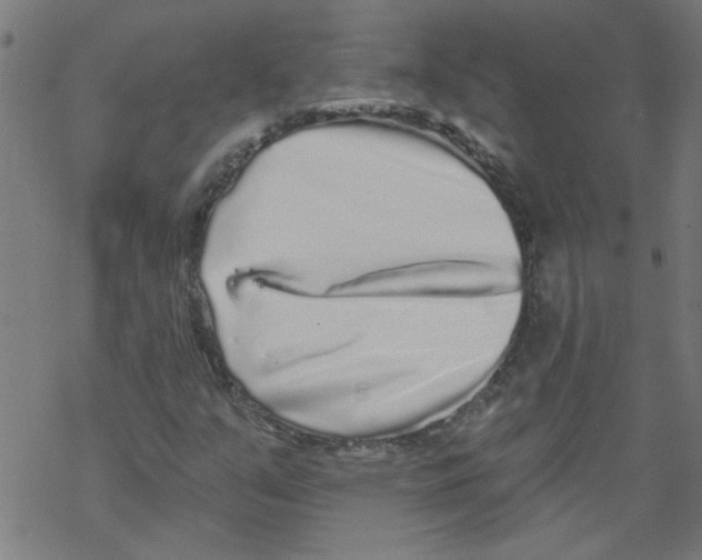 X0000067901351200605111906