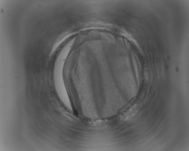 X0000067901352200605111906