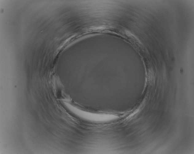 X0000067901353200605111906