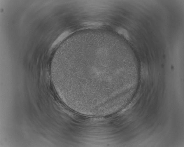 X0000067901354200605111906