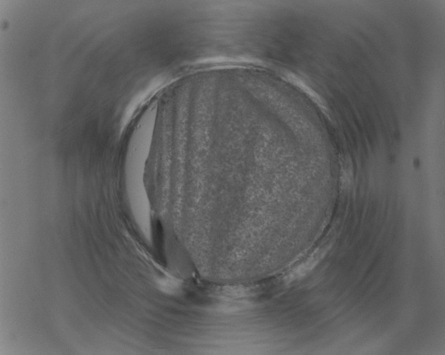 X0000067901357200605111906