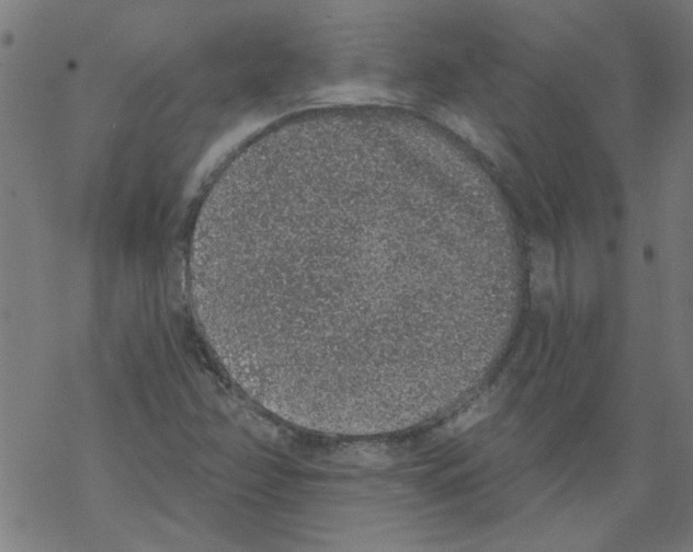 X0000067901358200605111906