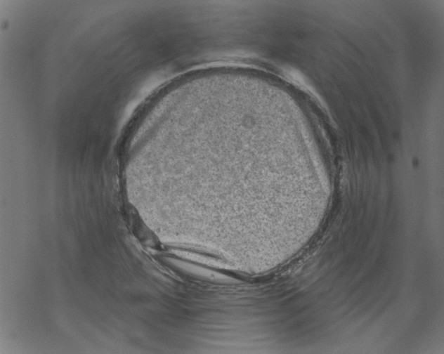 X0000067901360200605111906