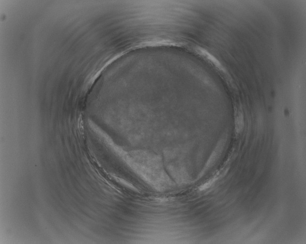 X0000067901361200605111906