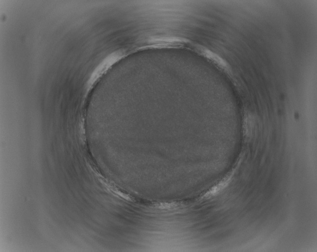 X0000067901362200605111906