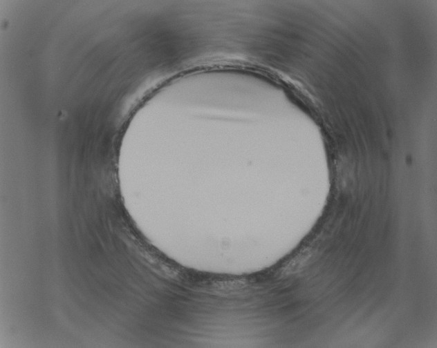 X0000067901363200605111906