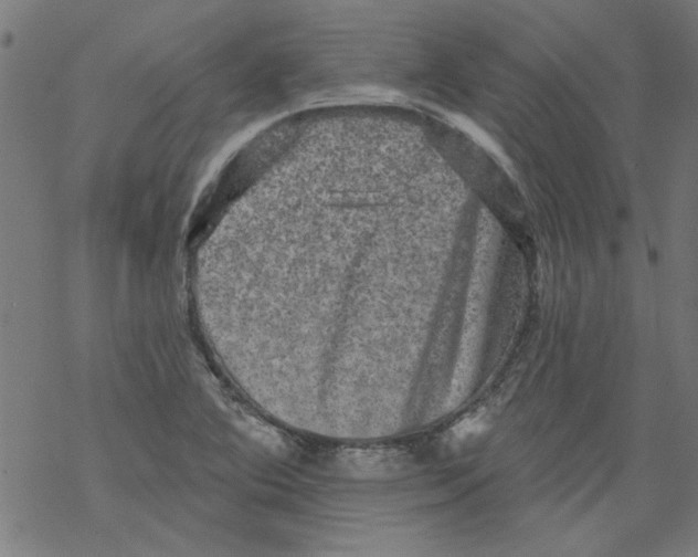 X0000067901364200605111906