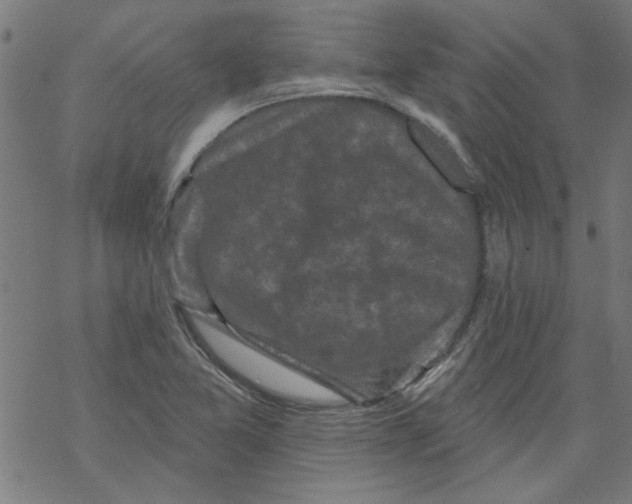 X0000067901365200605111906