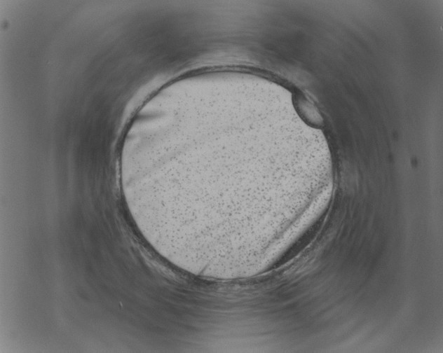 X0000067901366200605111906