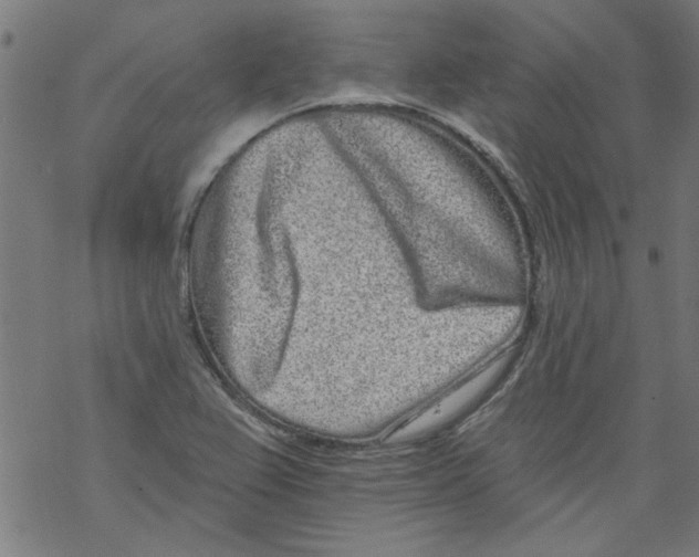 X0000067901367200605111906