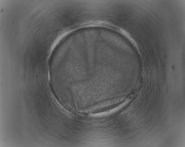 X0000067901368200605111906