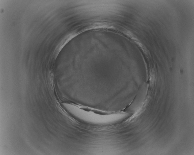 X0000067901369200605111906