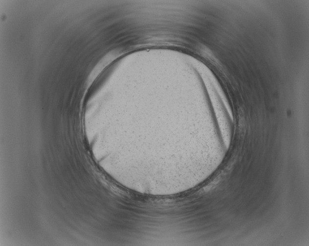 X0000067901370200605111906