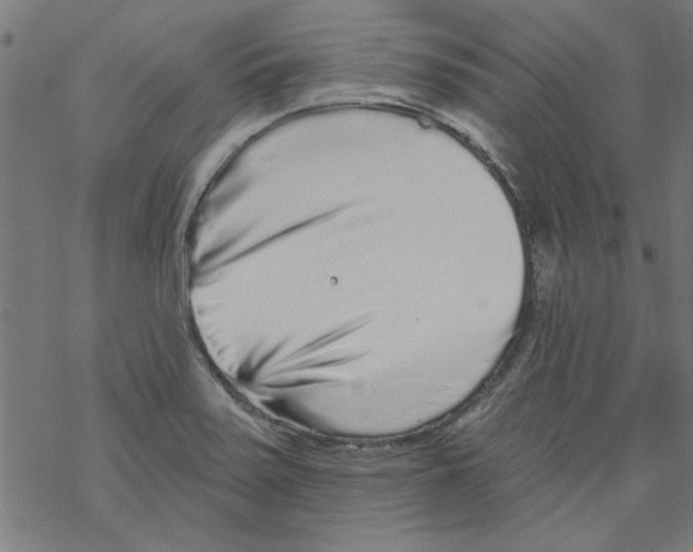 X0000067901371200605111906