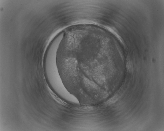 X0000067901372200605111906