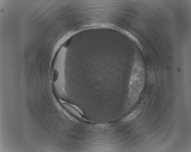 X0000067901373200605111906