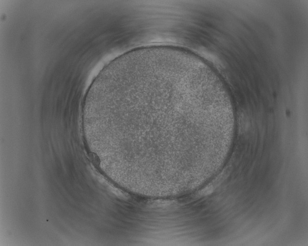 X0000067901374200605111906