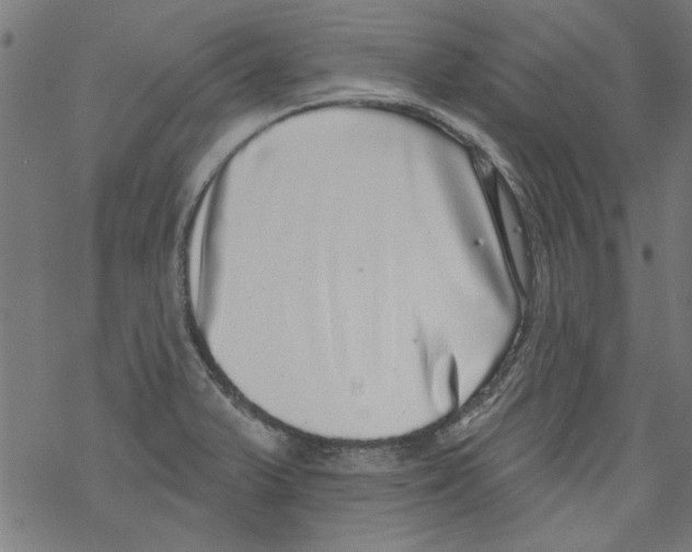 X0000067901375200605111906