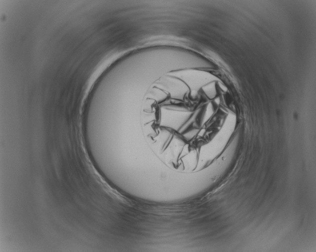 X0000067901376200605111906