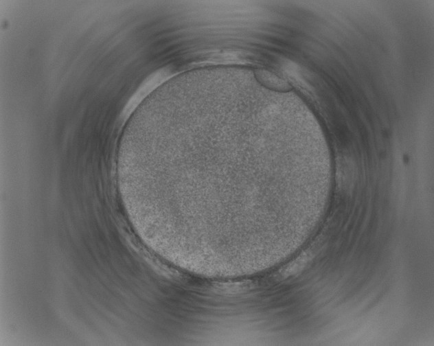 X0000067901378200605111906