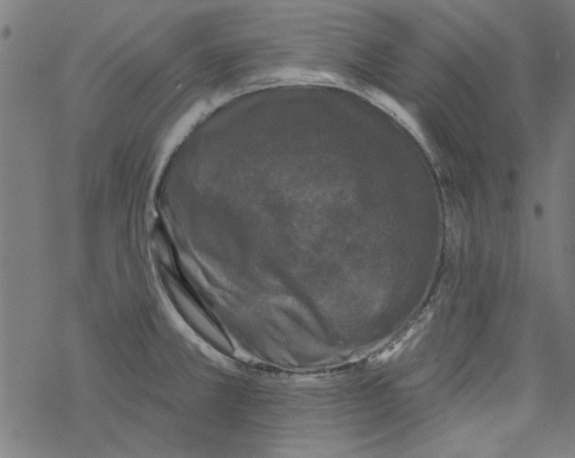 X0000067901381200605111906