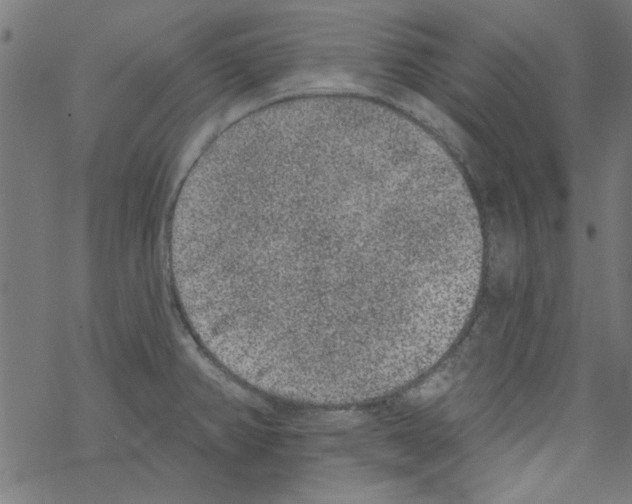 X0000067901382200605111906