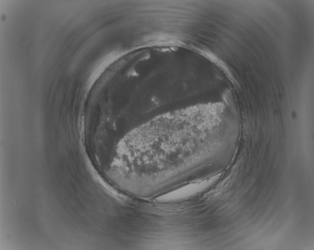 X0000067901383200605111906