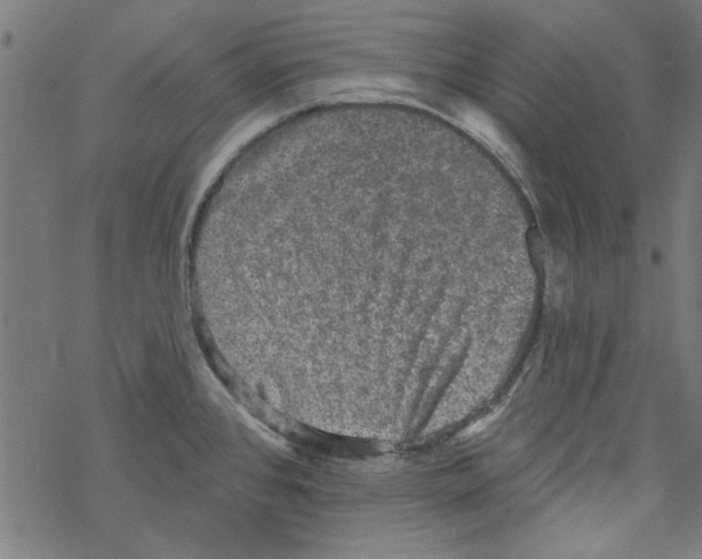 X0000067901384200605111906