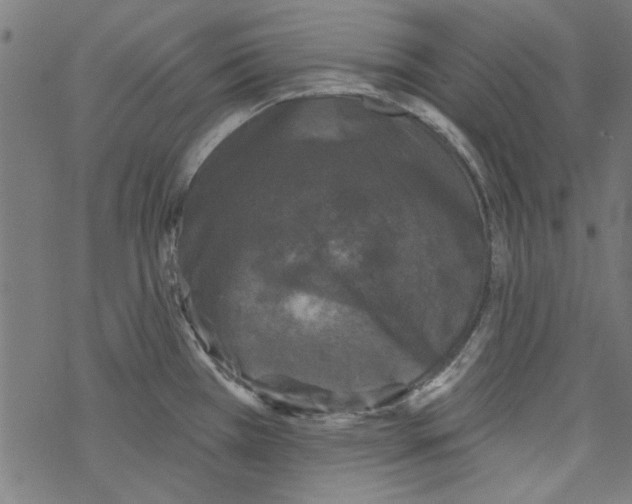 X0000067901385200605111906