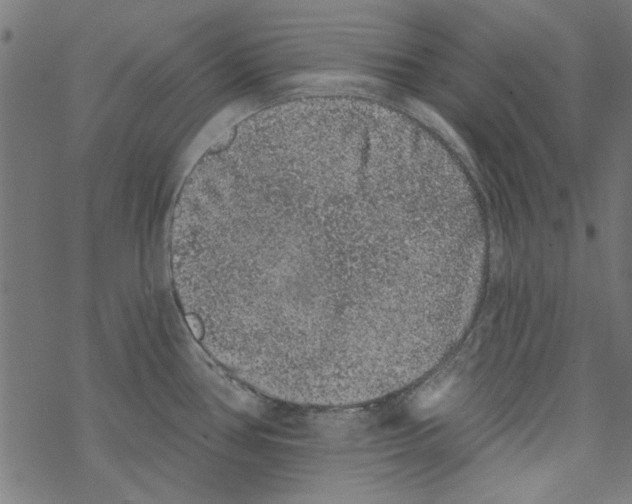 X0000067901386200605111906