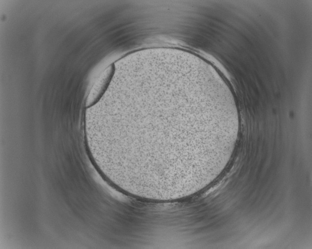 X0000067901387200605111906