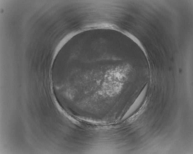 X0000067901389200605111906