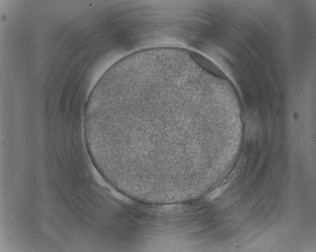 X0000067901390200605111906