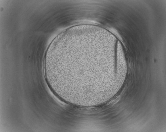 X0000067901391200605111906