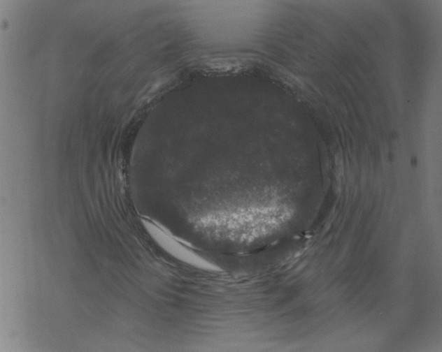 X0000067901394200605111905