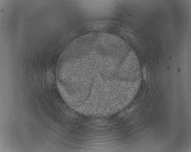 X0000067901395200605111905