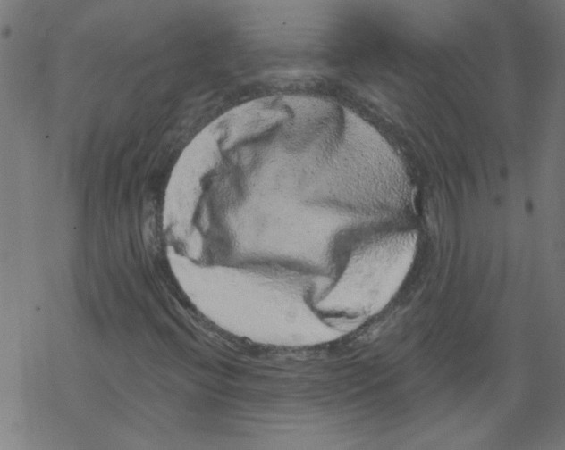 X0000067901396200605111905