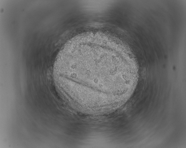 X0000067901397200605111905