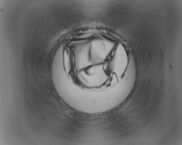 X0000067901398200605111905