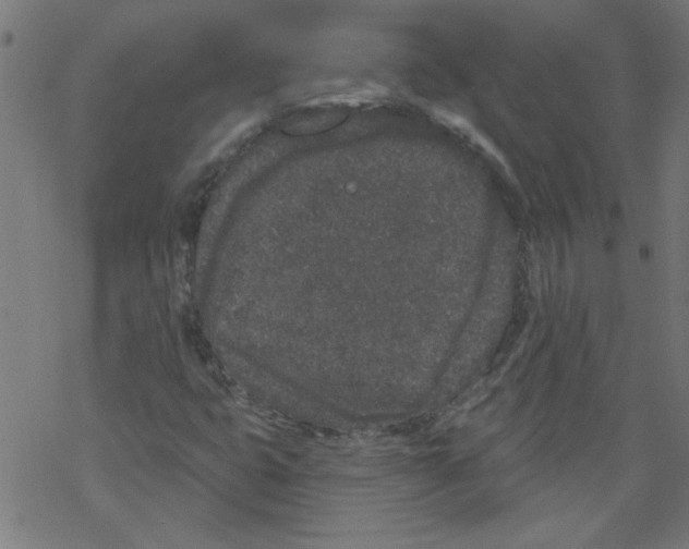 X0000067901399200605111905