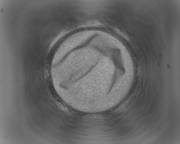 X0000067901400200605111905