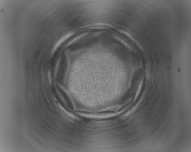 X0000067901402200605111905