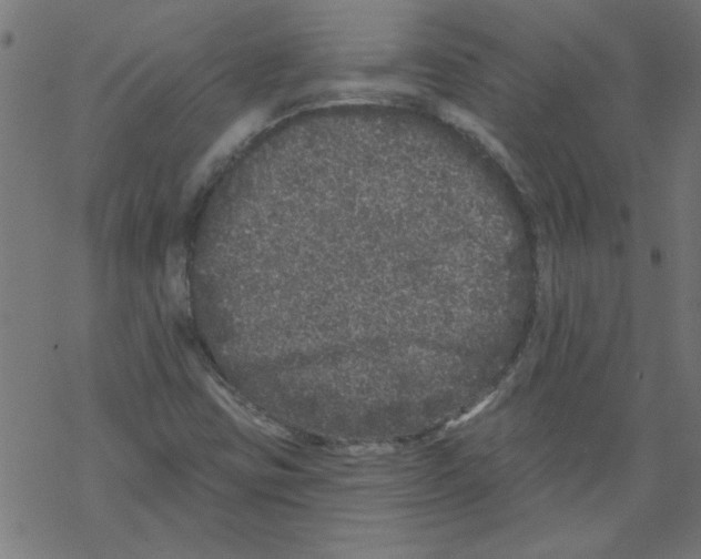 X0000067901403200605111905