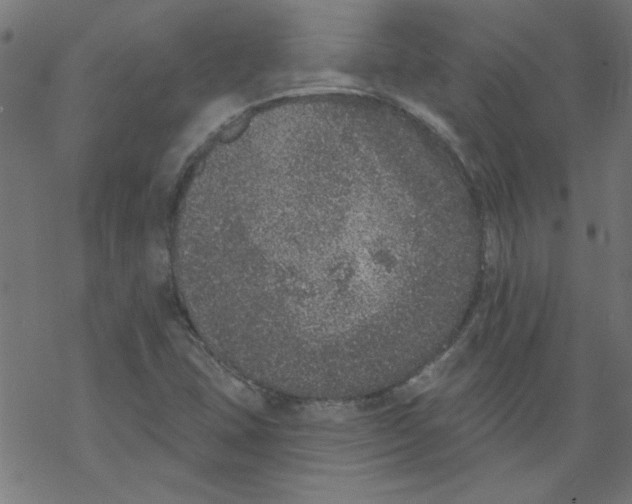 X0000067901407200605111905