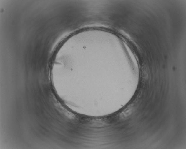 X0000067901408200605111905