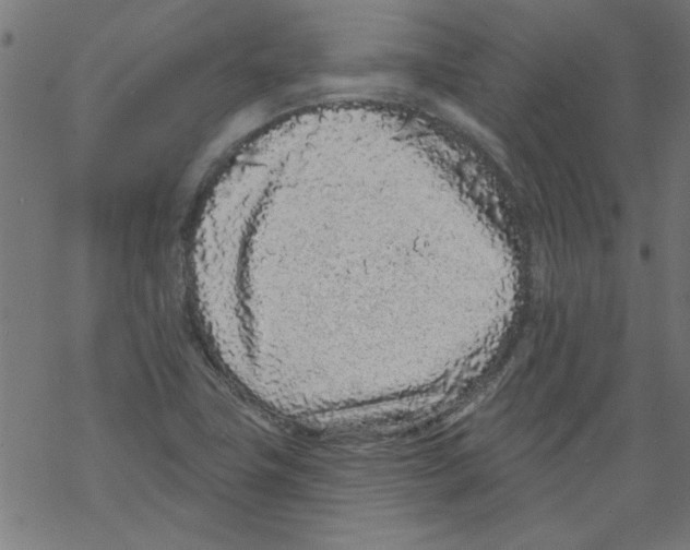 X0000067901411200605111905