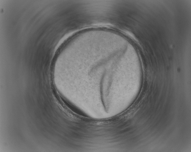 X0000067901412200605111905