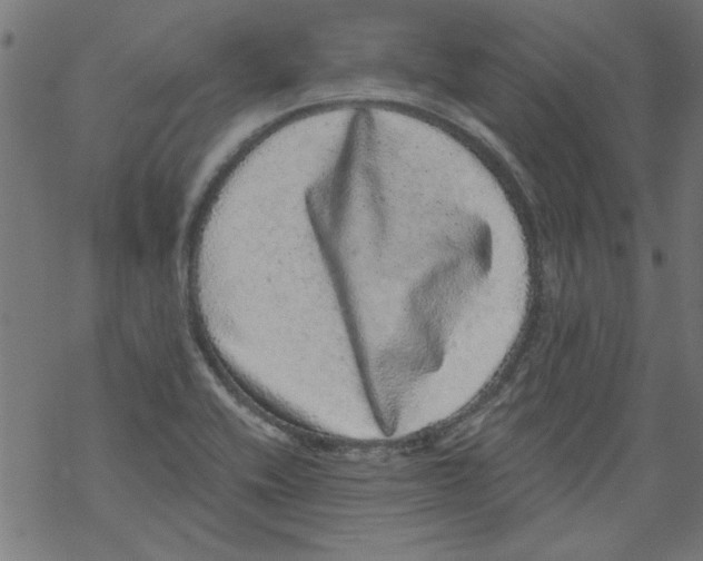 X0000067901416200605111905