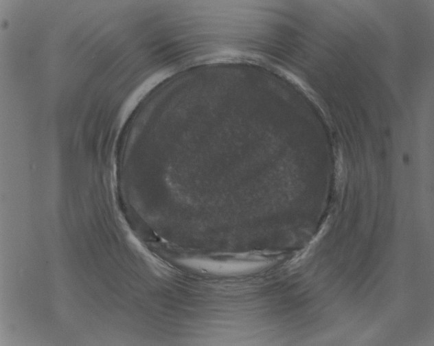 X0000067901418200605111905