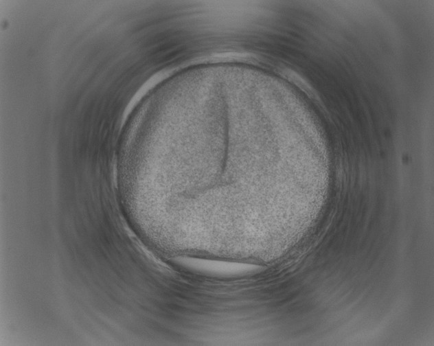 X0000067901420200605111905